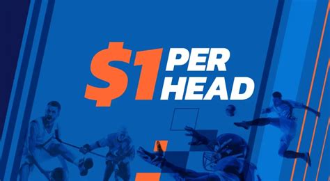 Pay Per Head Software Service: Level Up Your .